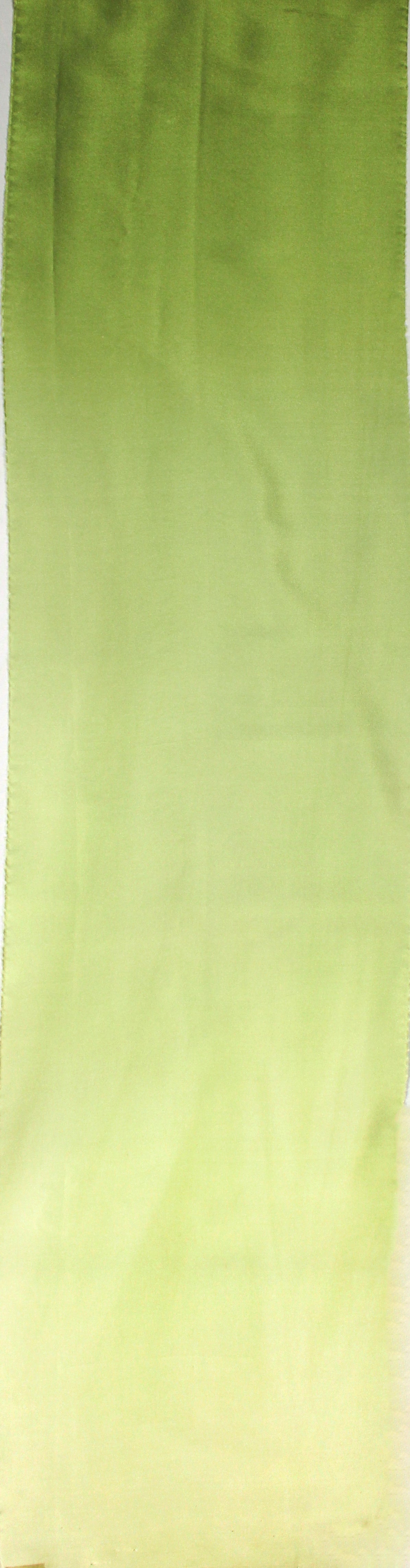 Ombre Silk Charmeuse Fabric