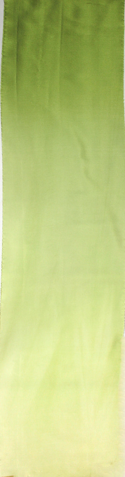 Ombre Silk Charmeuse Fabric