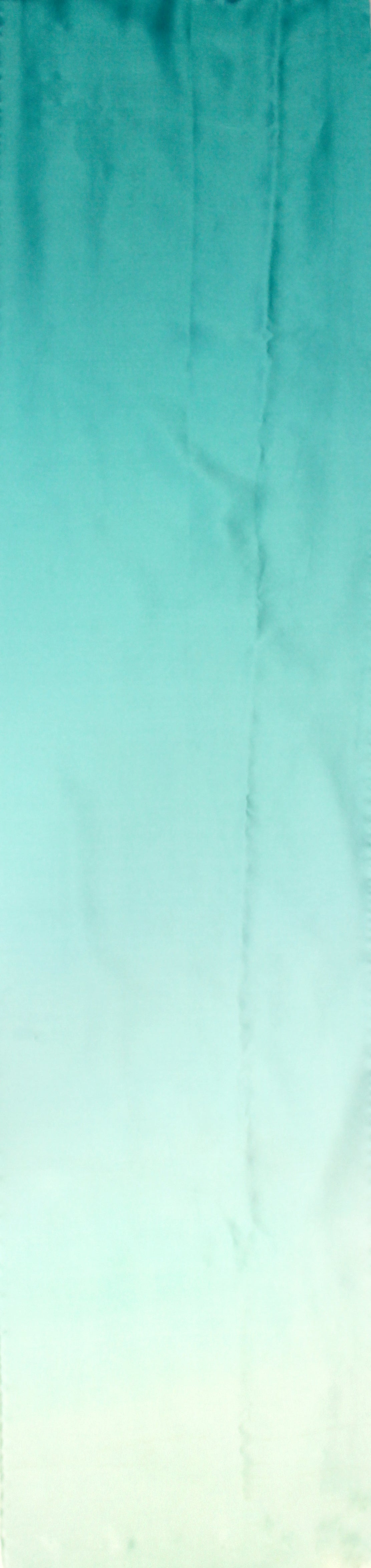 Ombre Silk Charmeuse Fabric